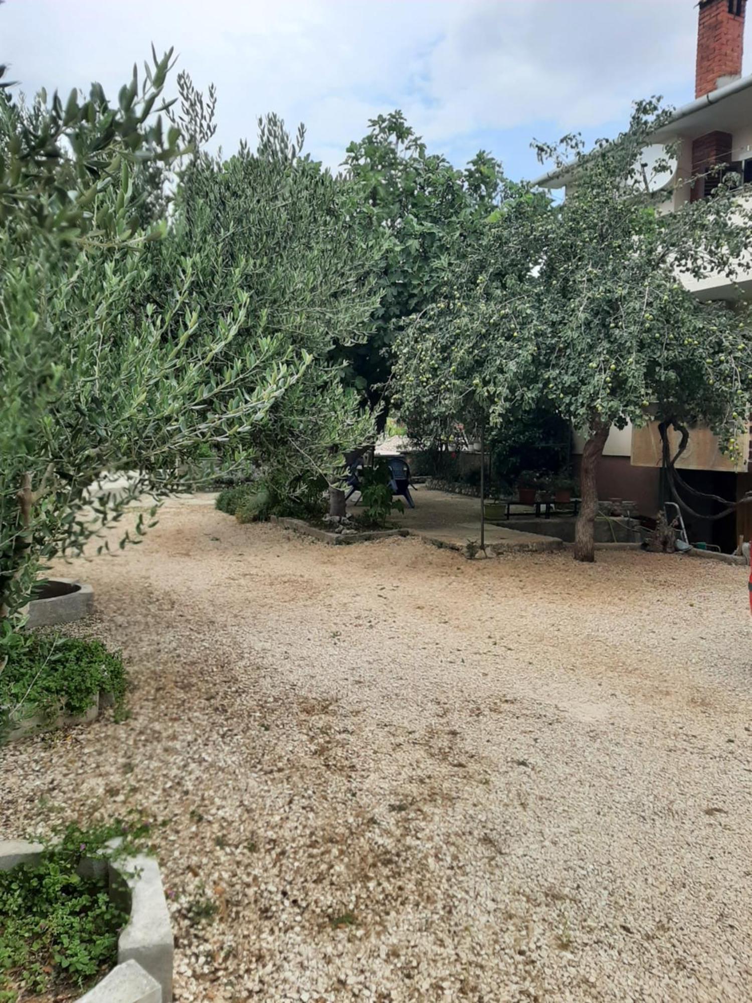 Apartmani Marija Povljana Chambre photo