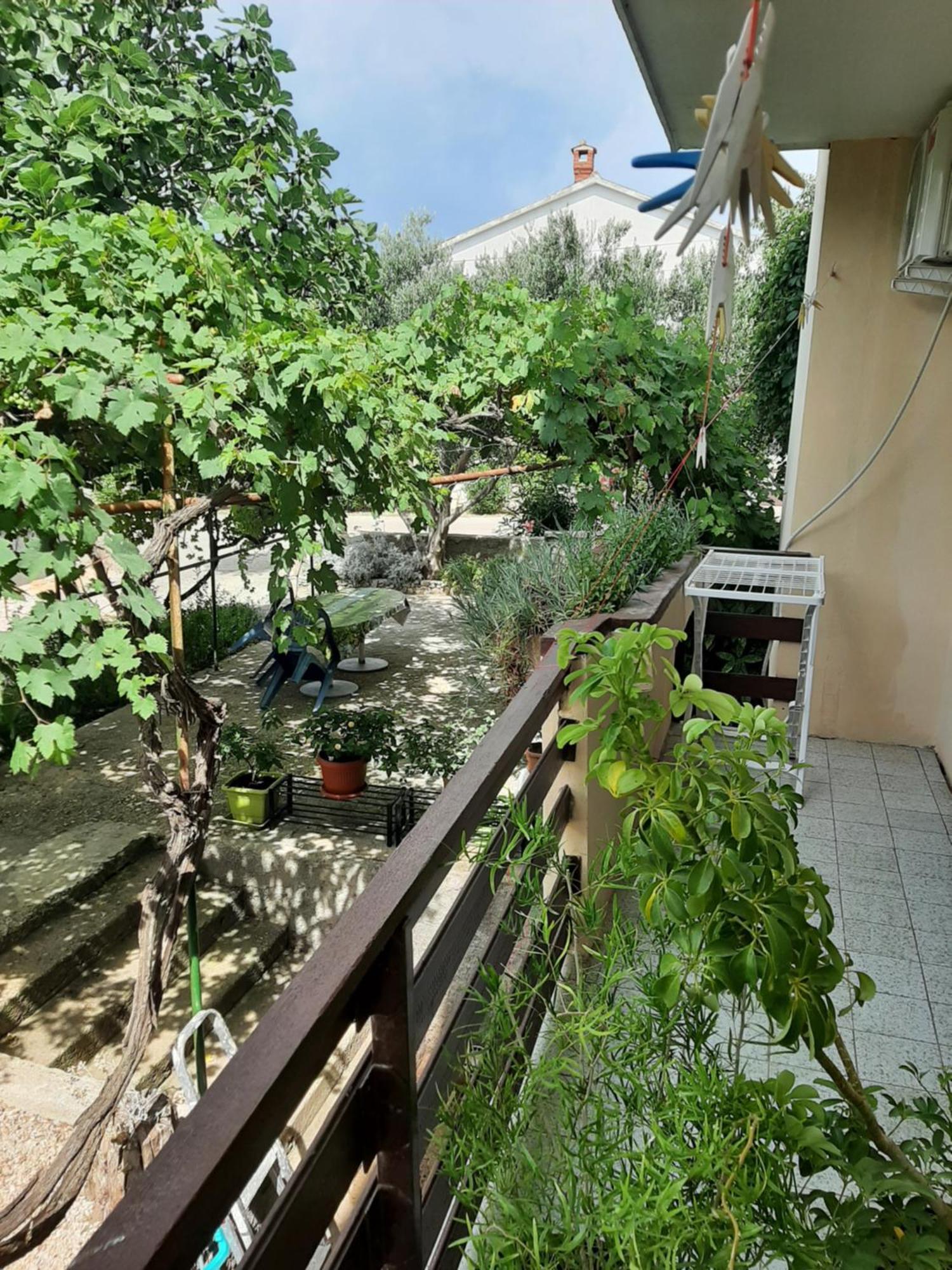 Apartmani Marija Povljana Chambre photo