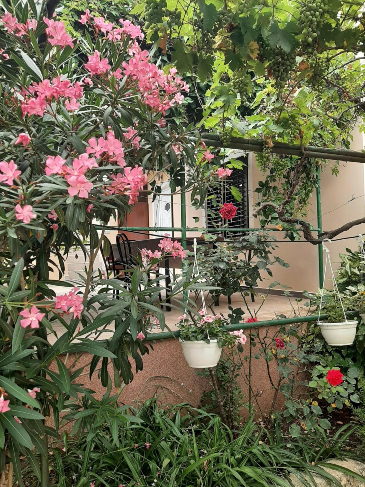 Apartmani Marija Povljana Chambre photo