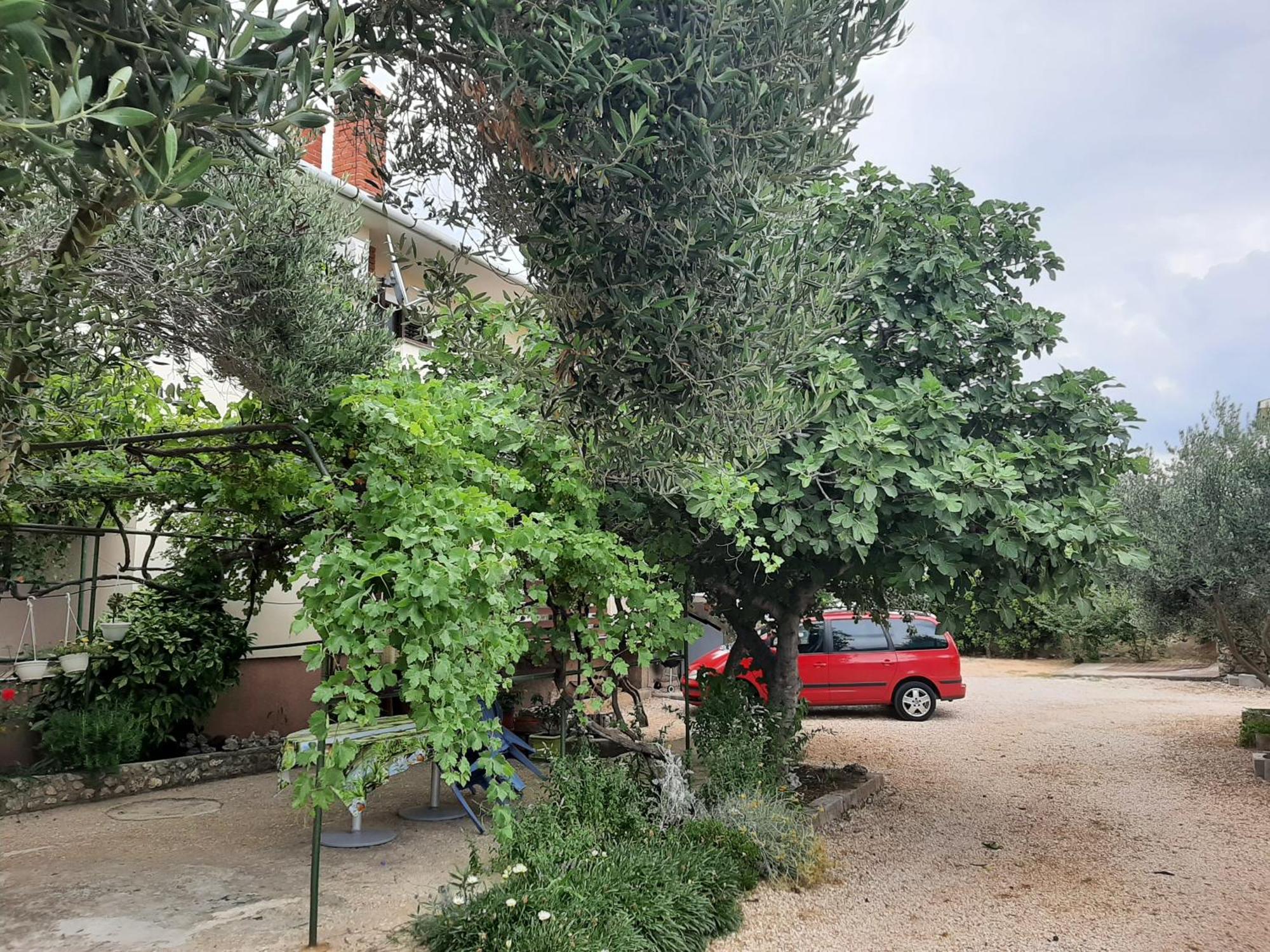 Apartmani Marija Povljana Chambre photo