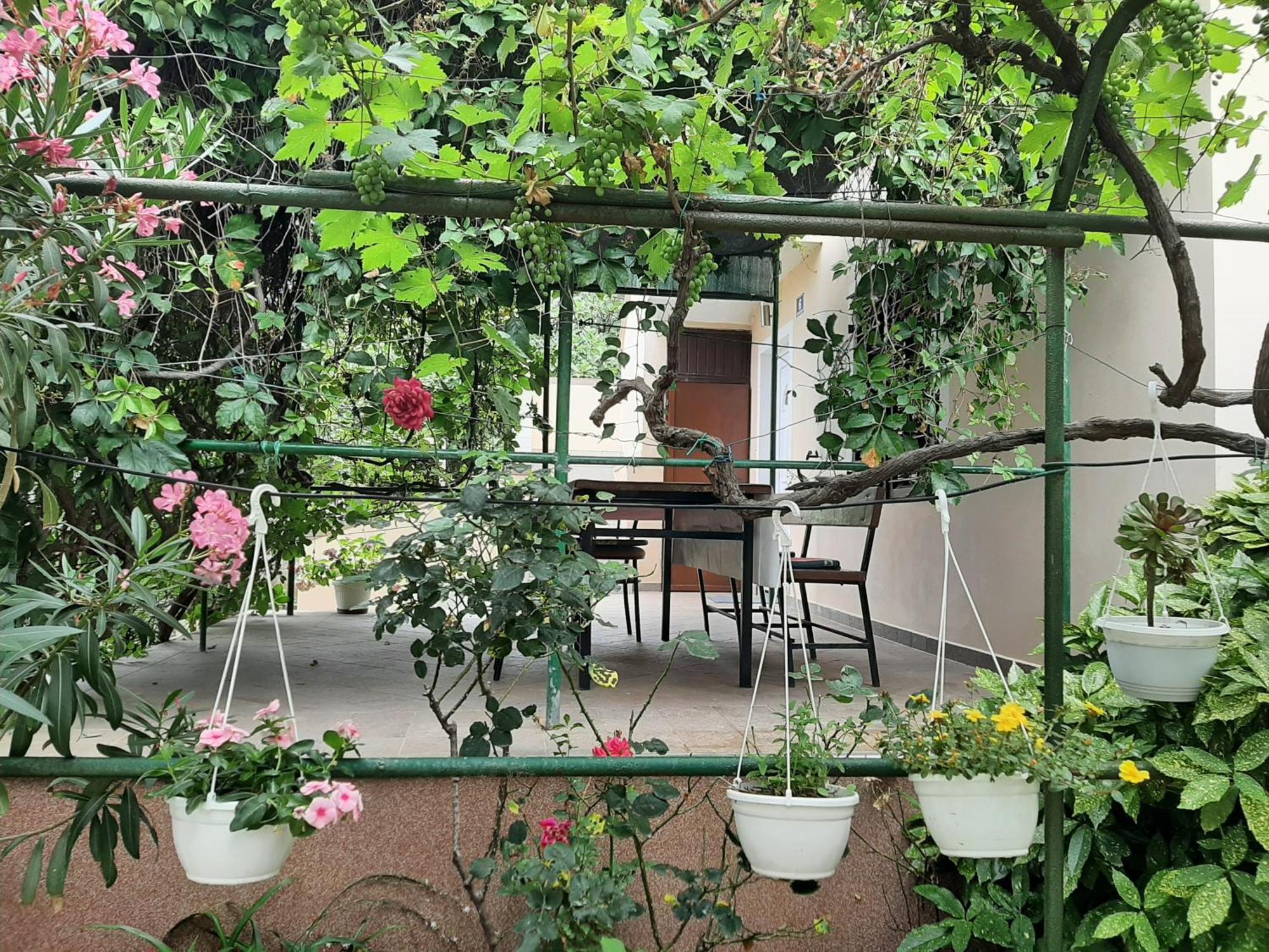 Apartmani Marija Povljana Chambre photo