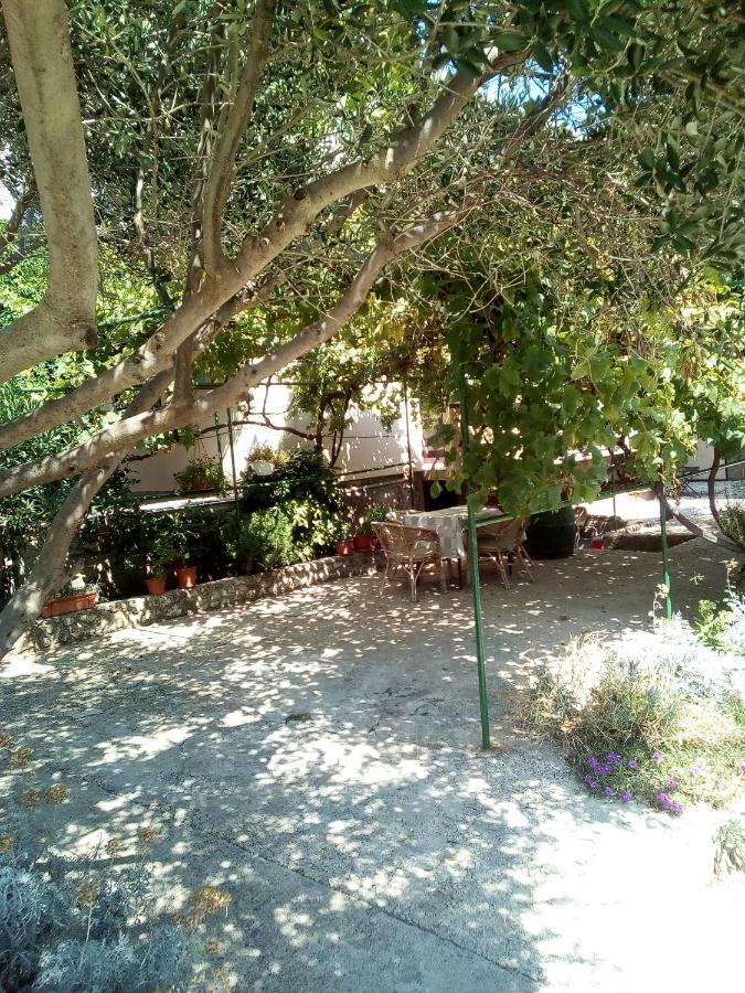 Apartmani Marija Povljana Extérieur photo