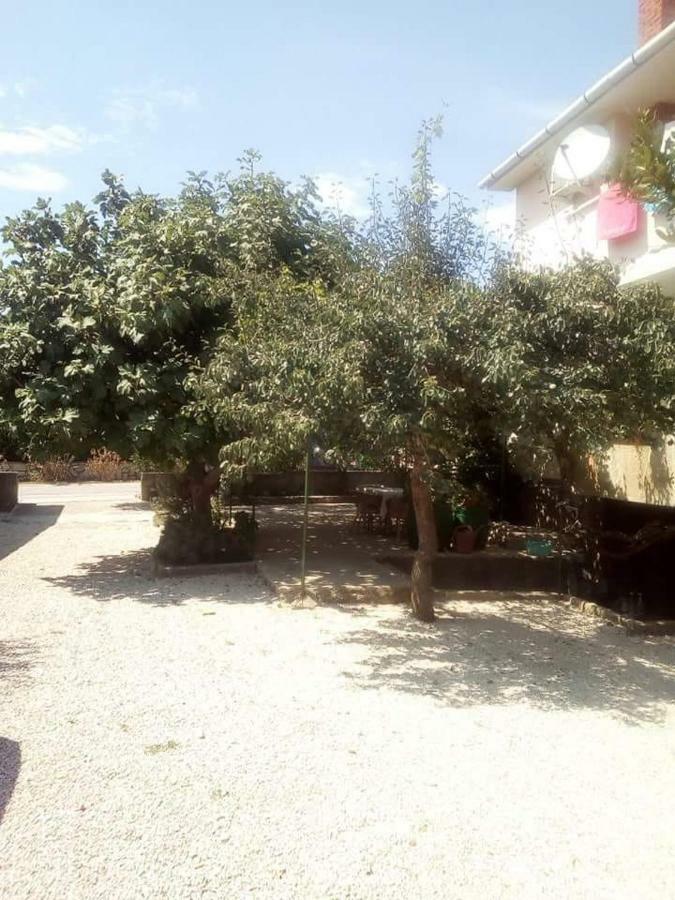 Apartmani Marija Povljana Extérieur photo